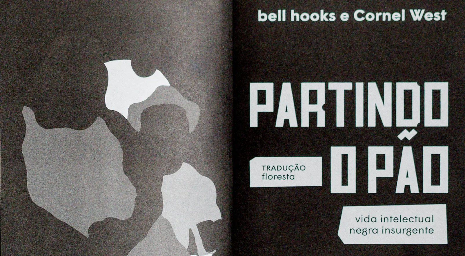 bell hooks collection, imagem 9